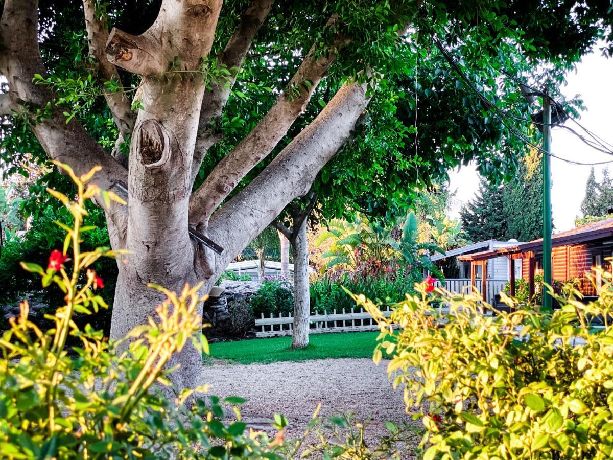 Etzel Tami Hospitality Hotel Neot Golan Bagian luar foto